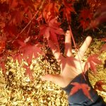 成田山公園の紅葉を、小学校3年生の息子と見てきた。おすすめポイント5つや、アクセスを紹介します！